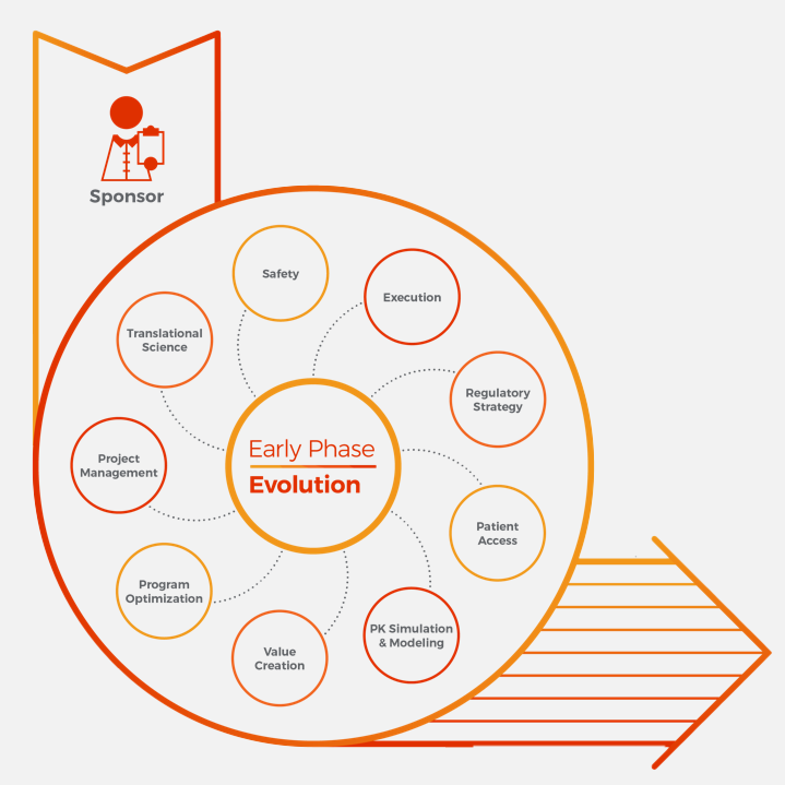 early phase evolution graphic 